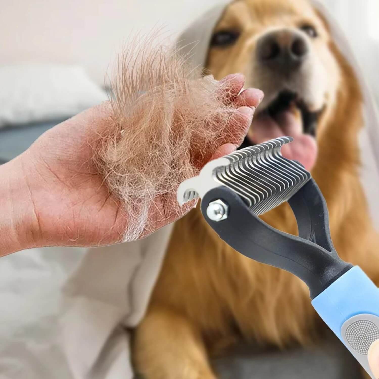 huisdier verzorging kam haar verwijderen